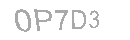 Güvenlik Kodu