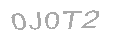 Güvenlik Kodu